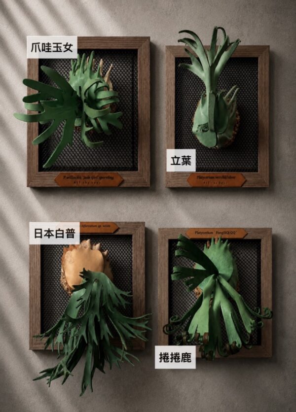 擬真鹿角蕨皮革手作課